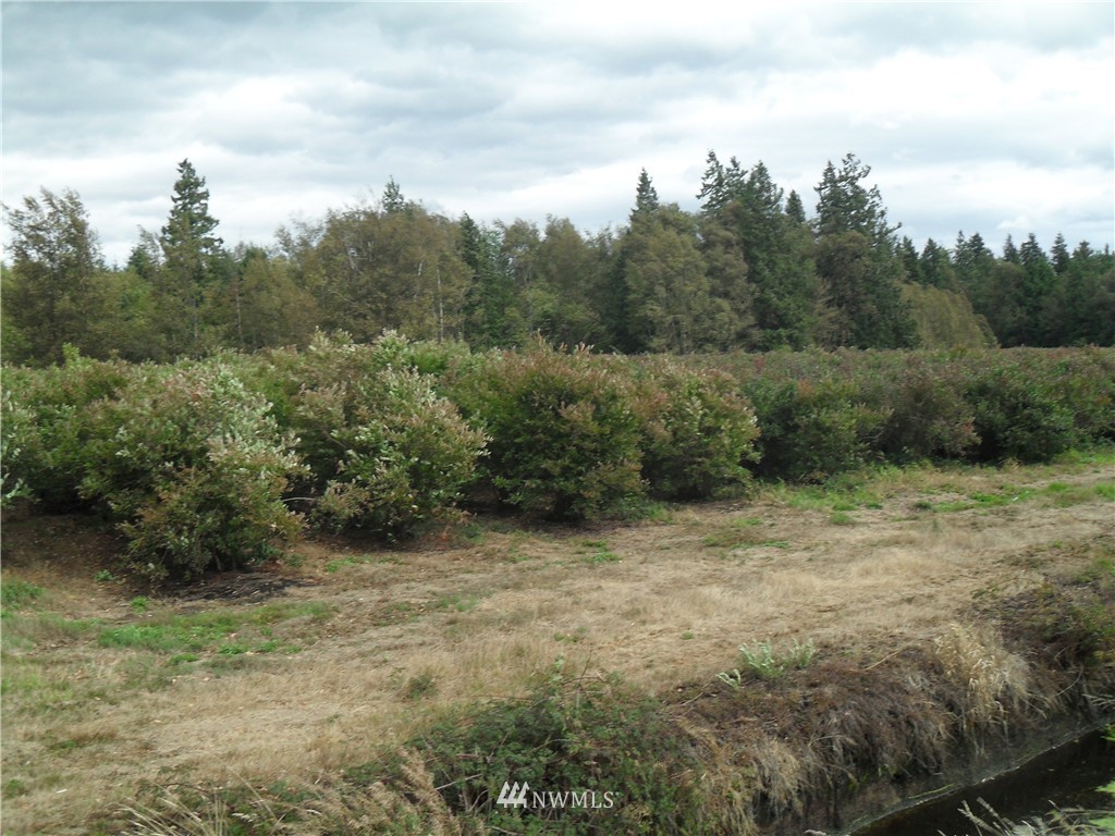 2420-2430 Willeys Lake Road Custer, WA 98240 - Photo 1 of 5 Gallery Image 1