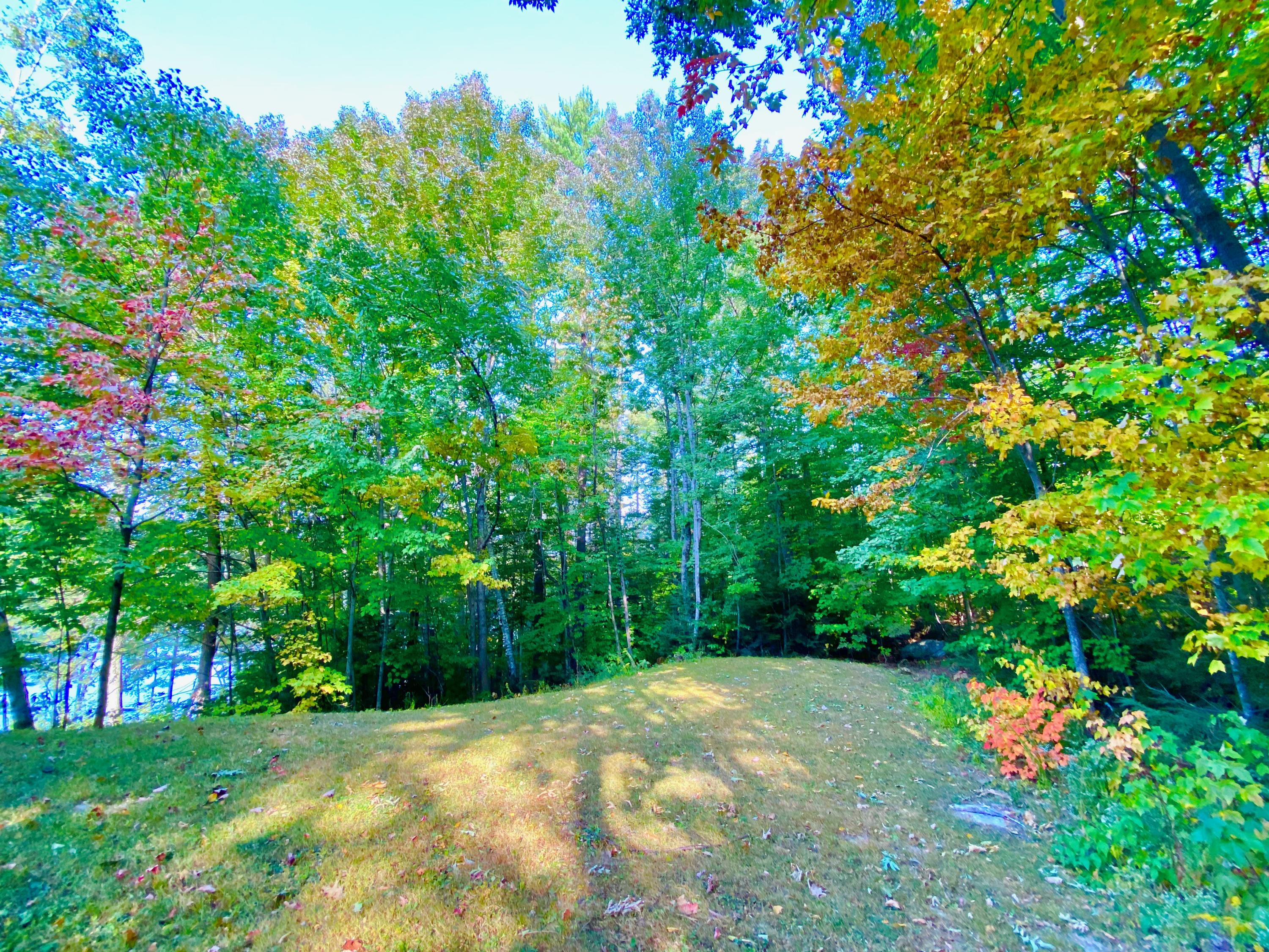 196 Augusta Road Rome, ME 04963 - Photo 39 of 89 YARD