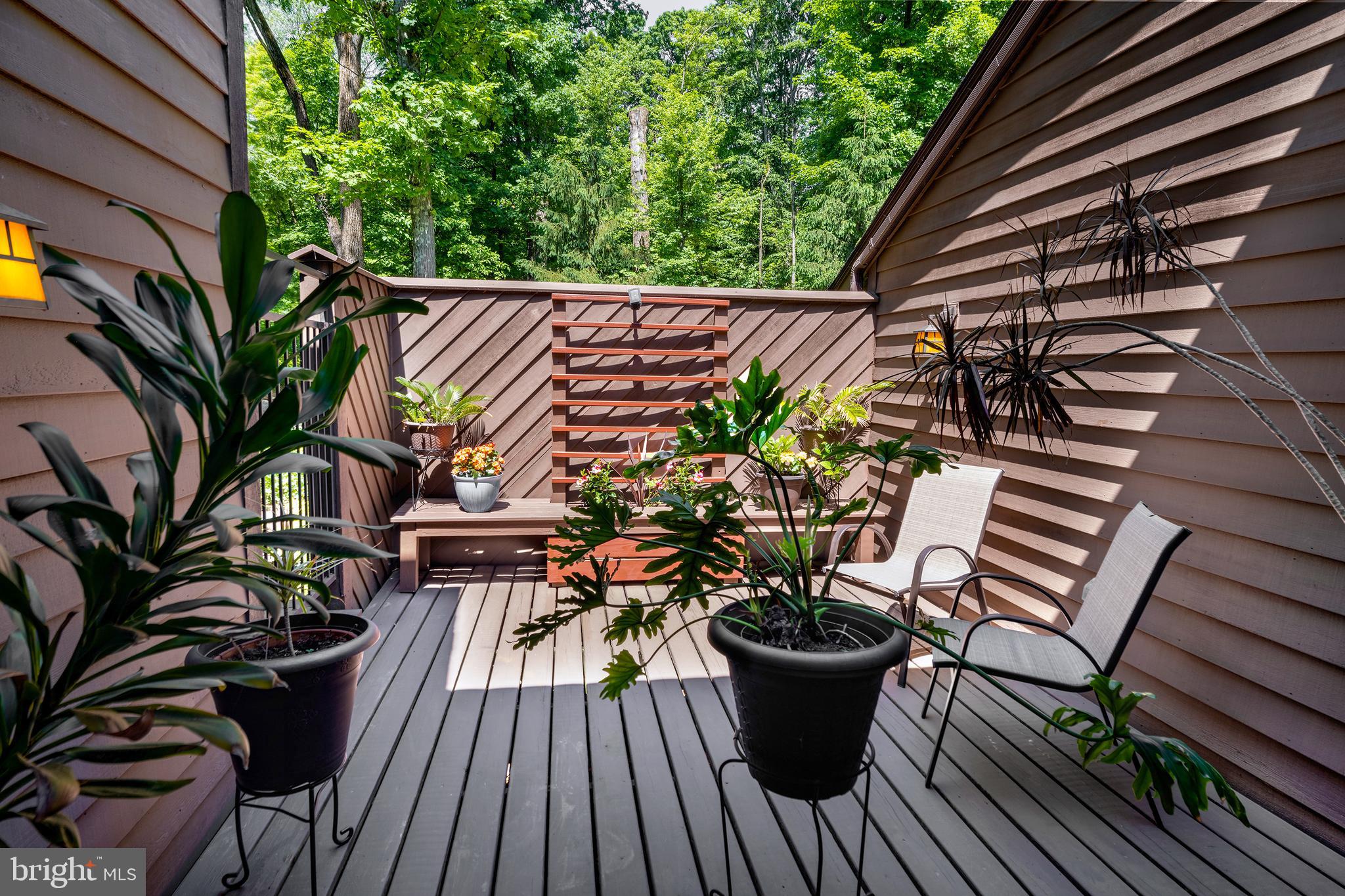 134 Reservoir Road Hopewell, NJ 08525 - Photo 5 of 37 Courtyard