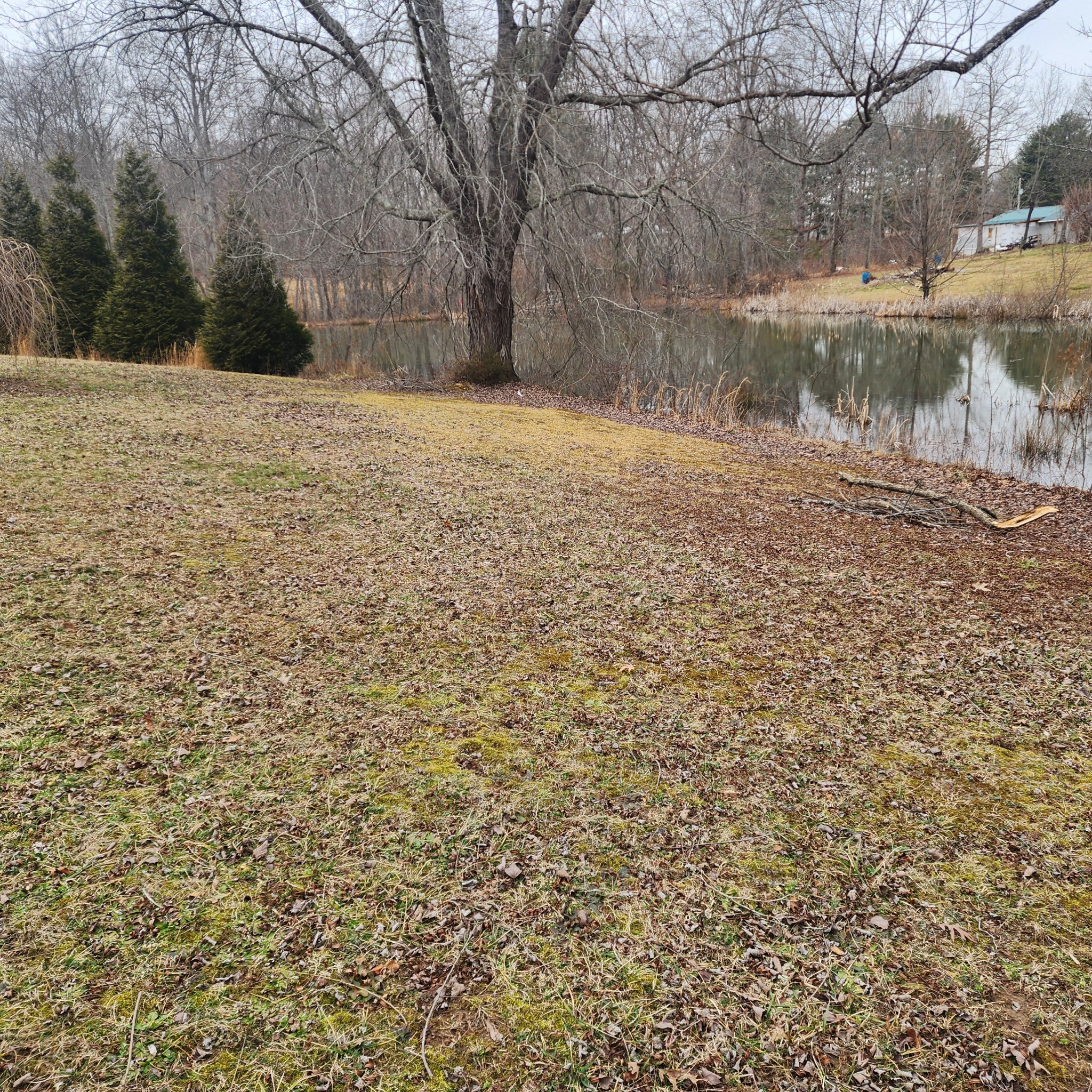 102 Bear Run Road McMinnville, TN 37110 - Photo 23 of 28