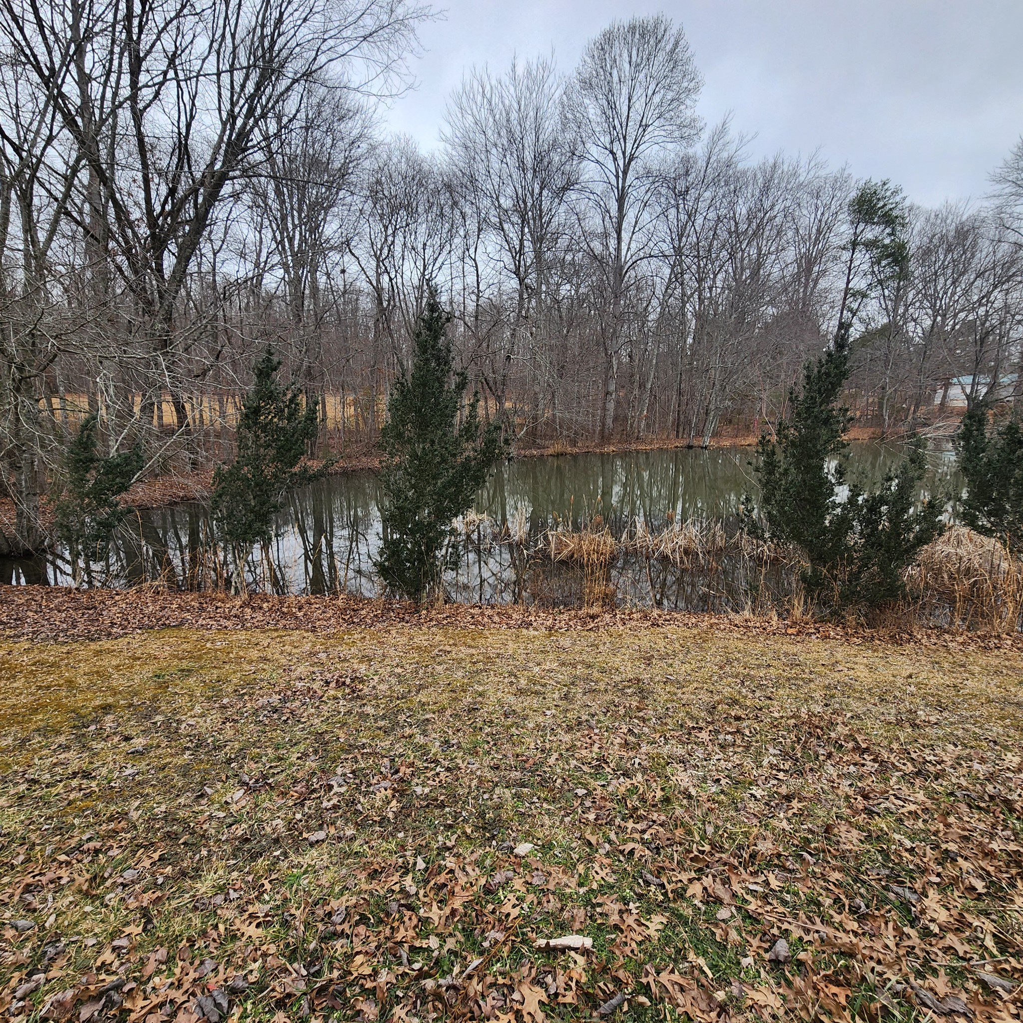 102 Bear Run Road McMinnville, TN 37110 - Photo 24 of 28