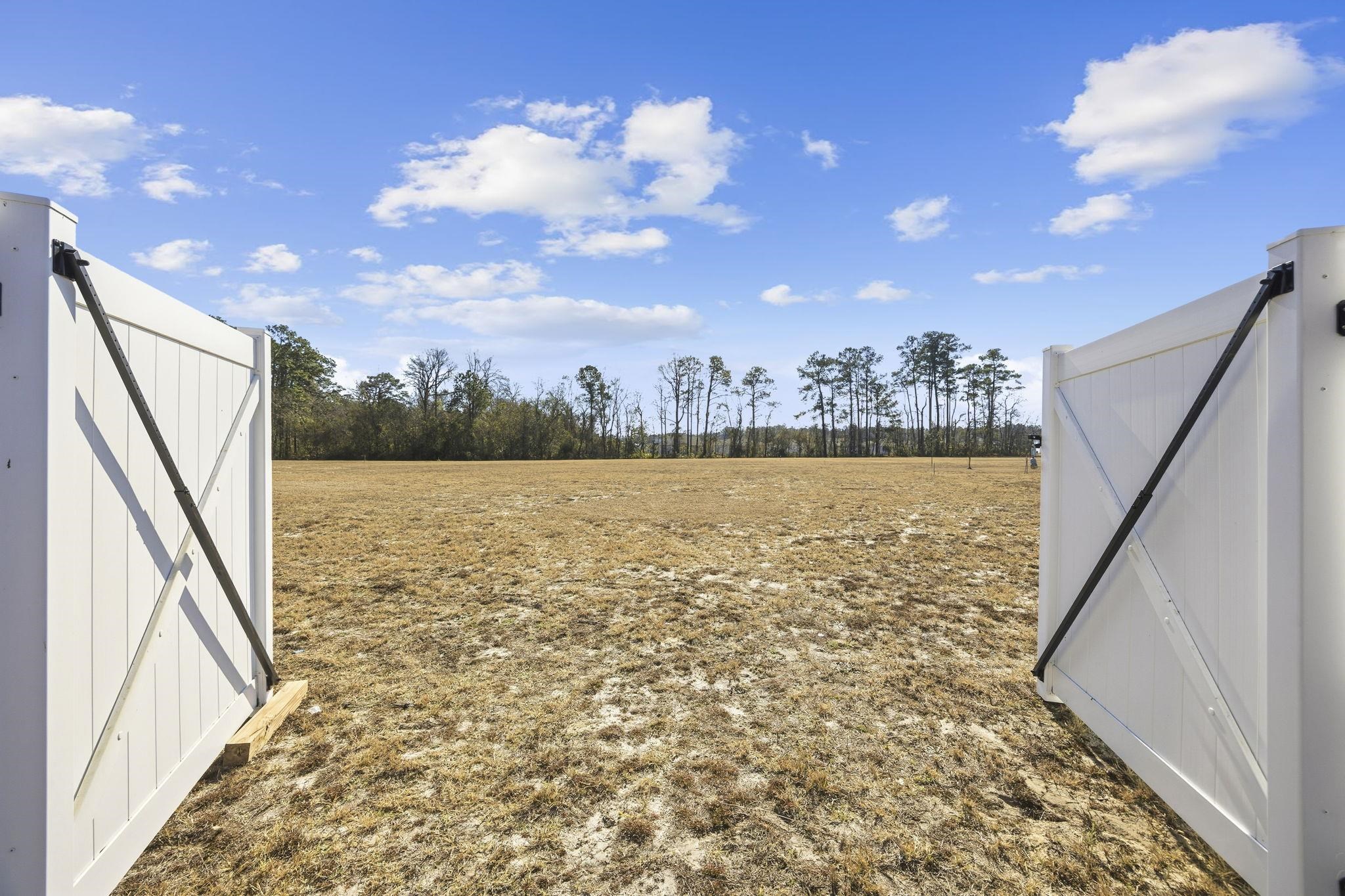 1010 Log Cabin Road Loris, SC 29569 - Photo 31 of 40 View of yard