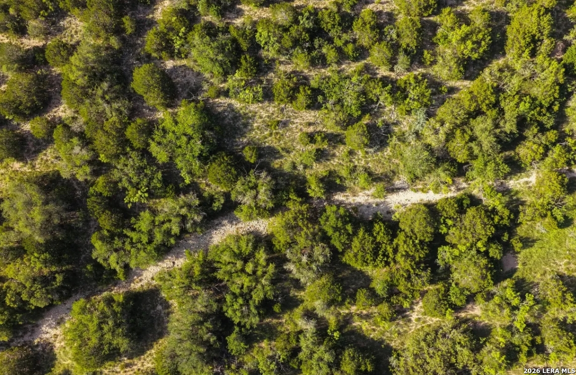 6824 SD 28570 Rocksprings, TX 78880 - Photo 10 of 15