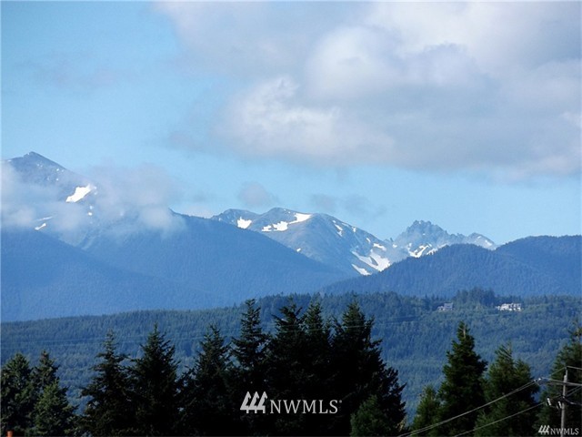 41 Windmill Lane Sequim, WA 98382 - Photo 22 of 22