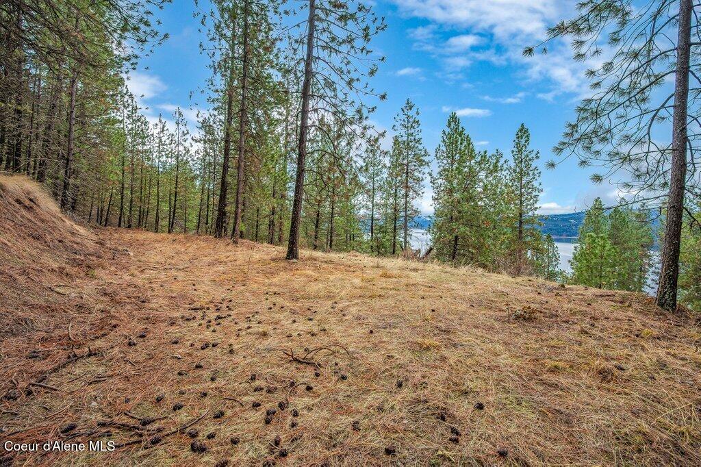 Lot 9-10 East Crows Nest Road Harrison, ID 83833 - Photo 3 of 17 --9.jpg-SMALL