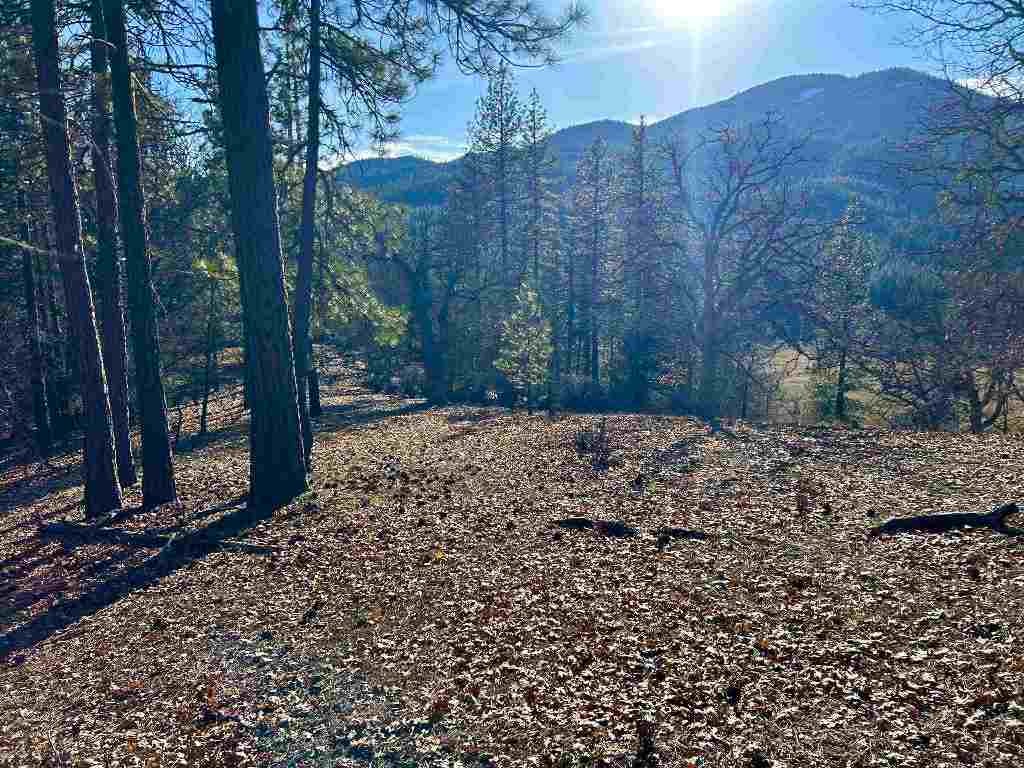 Meamber Creek Road Fort Jones, CA 96032 - Photo 13 of 14 Gallery Image 13