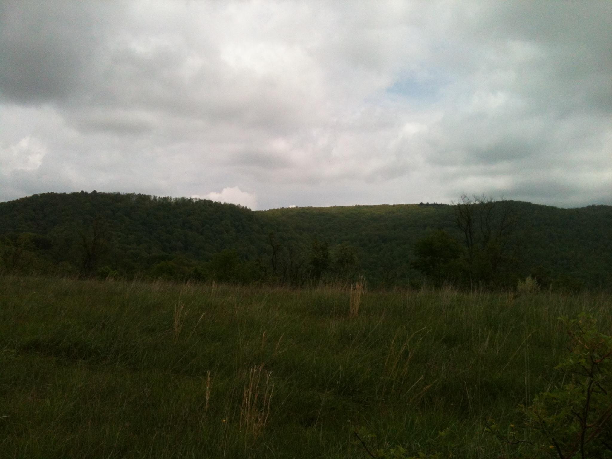 Old Renick Valley Road Renick, WV 24966 - Photo 13 of 25 Gallery Image 13