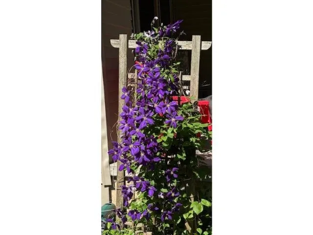 $390,000 | 1812 Smokey Lane, Suamico, WI 54173