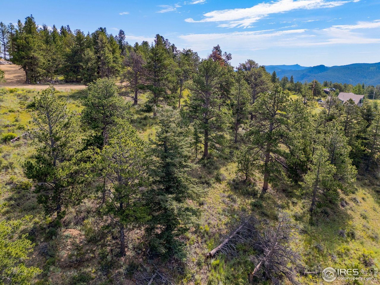 1445 Ridge Road Nederland, CO 80466 - Photo 17 of 19 Gallery Image 17