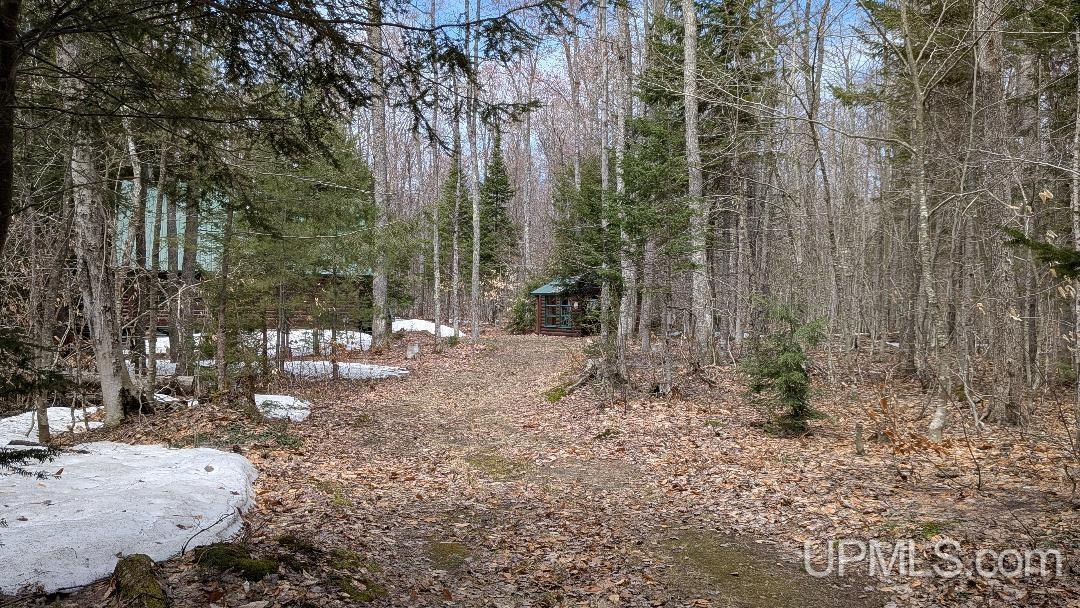 8379 Twin Lake Road Shingleton, MI 49884 - Photo 9 of 20