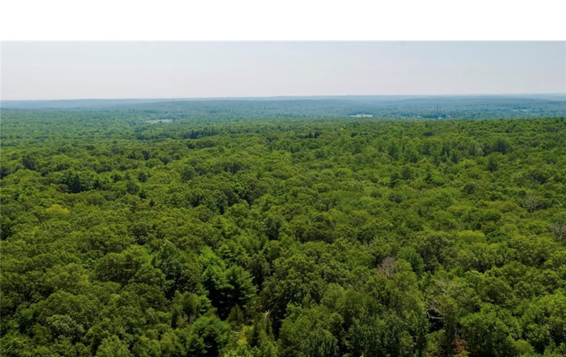 0 Lawton Foster Road South Hopkinton, RI 02833 - Photo 3 of 19