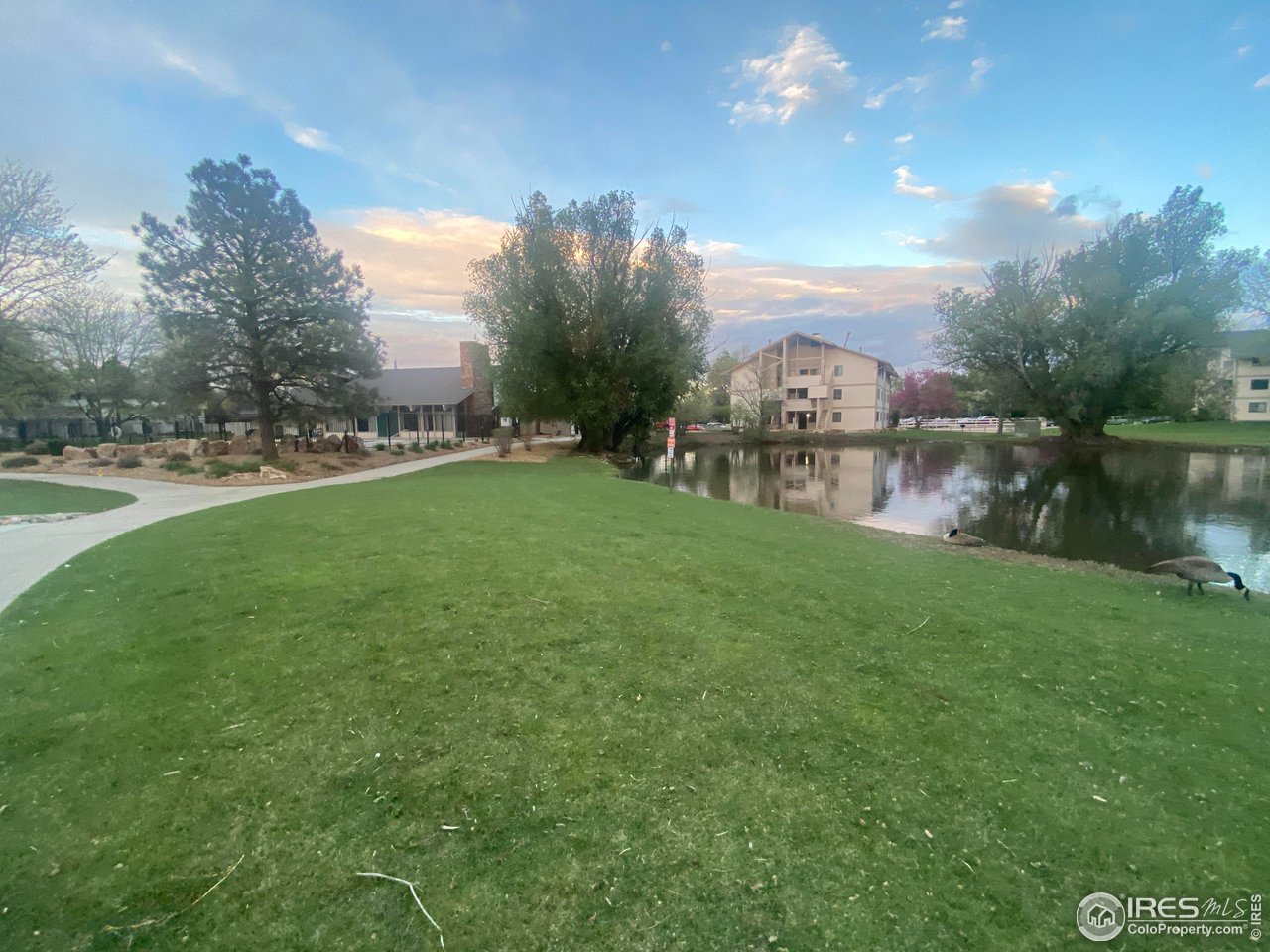 1705 Heatheridge Road, Unit H301 Fort Collins, CO 80526 - Photo 13 of 32 a view of a lake with a yard and a large trees