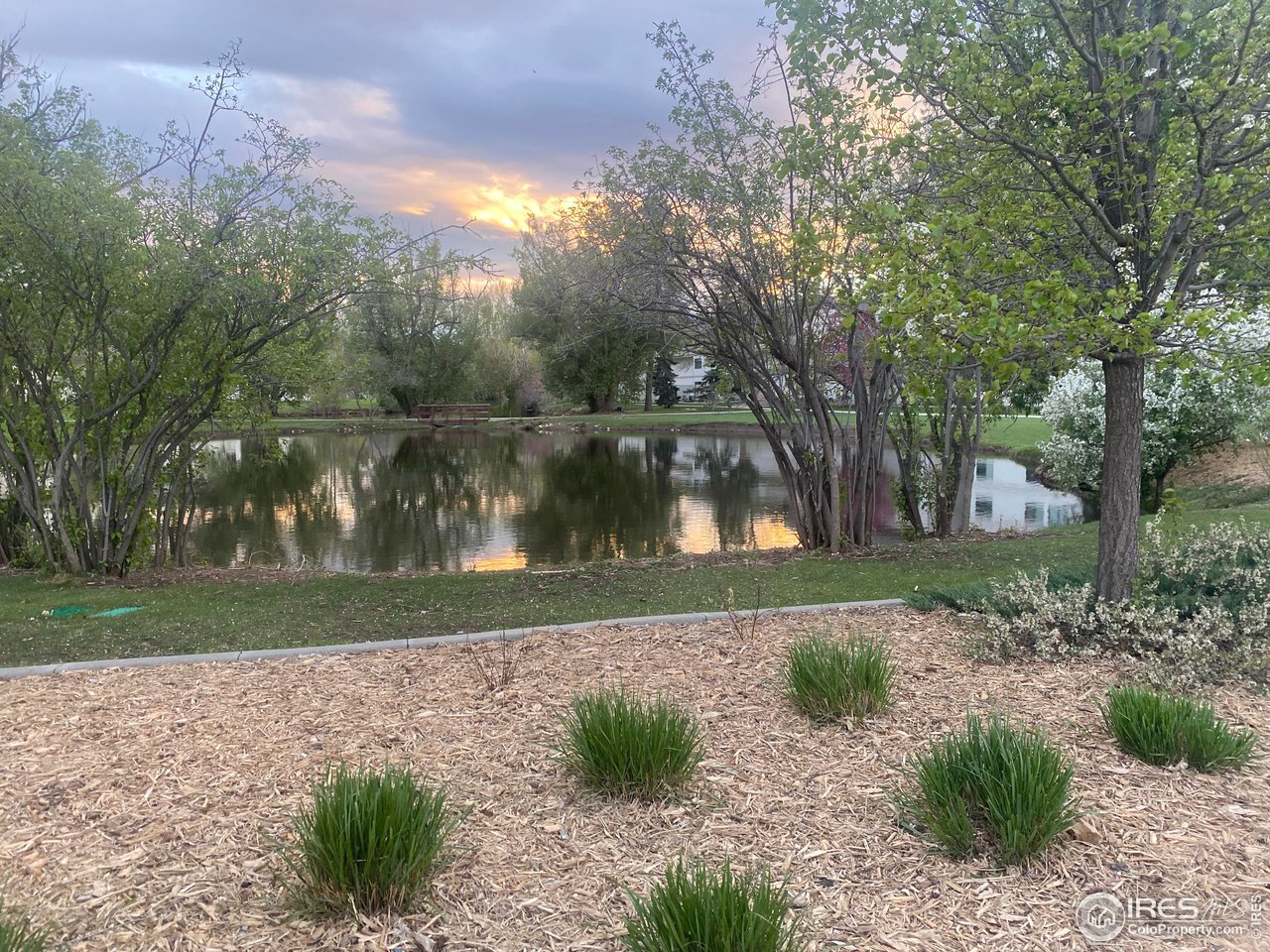 1705 Heatheridge Road, Unit H301 Fort Collins, CO 80526 - Photo 2 of 32 a backyard of a house with lots of green space