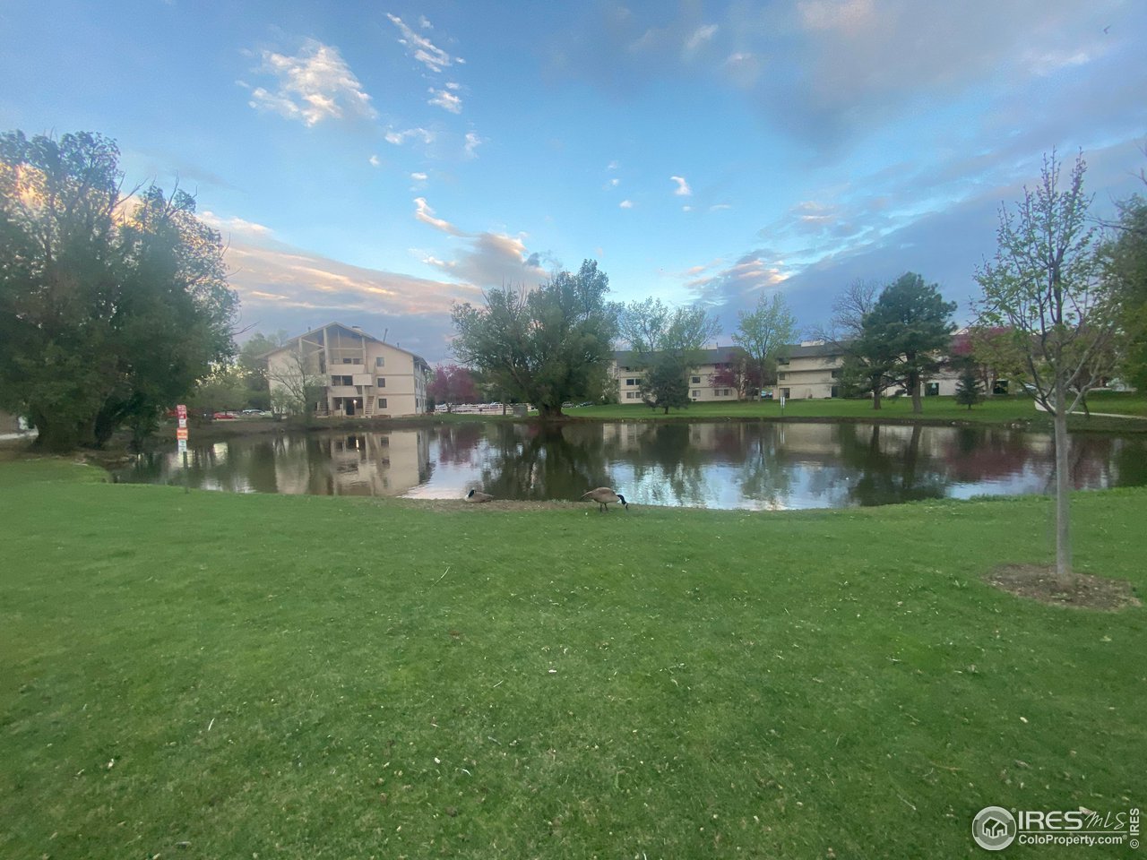 1705 Heatheridge Road, Unit H301 Fort Collins, CO 80526 - Photo 8 of 32 a view of a lake with a big yard