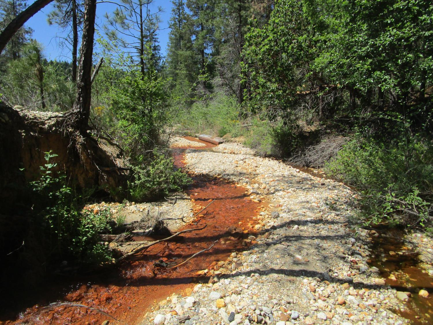 15699 Tyler Foote Road Nevada City, CA 95959 - Photo 2 of 23 a view of a tree with a yard