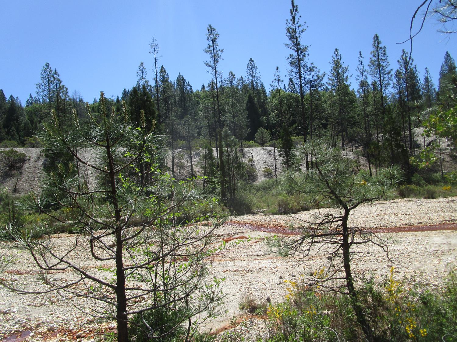 15699 Tyler Foote Road Nevada City, CA 95959 - Photo 23 of 23 a backyard of a house with lots of green space