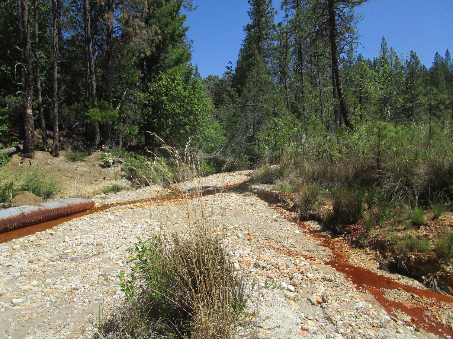 15699 Tyler Foote Road Nevada City, CA 95959 - Photo 3 of 23 a view of a yard with trees