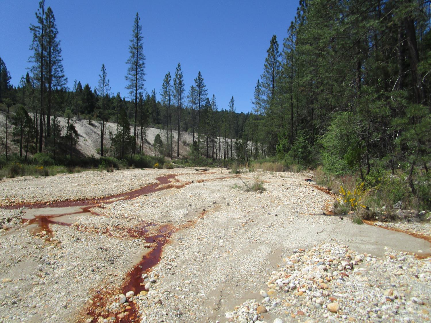 15699 Tyler Foote Road Nevada City, CA 95959 - Photo 4 of 23 a view of a covered with snow