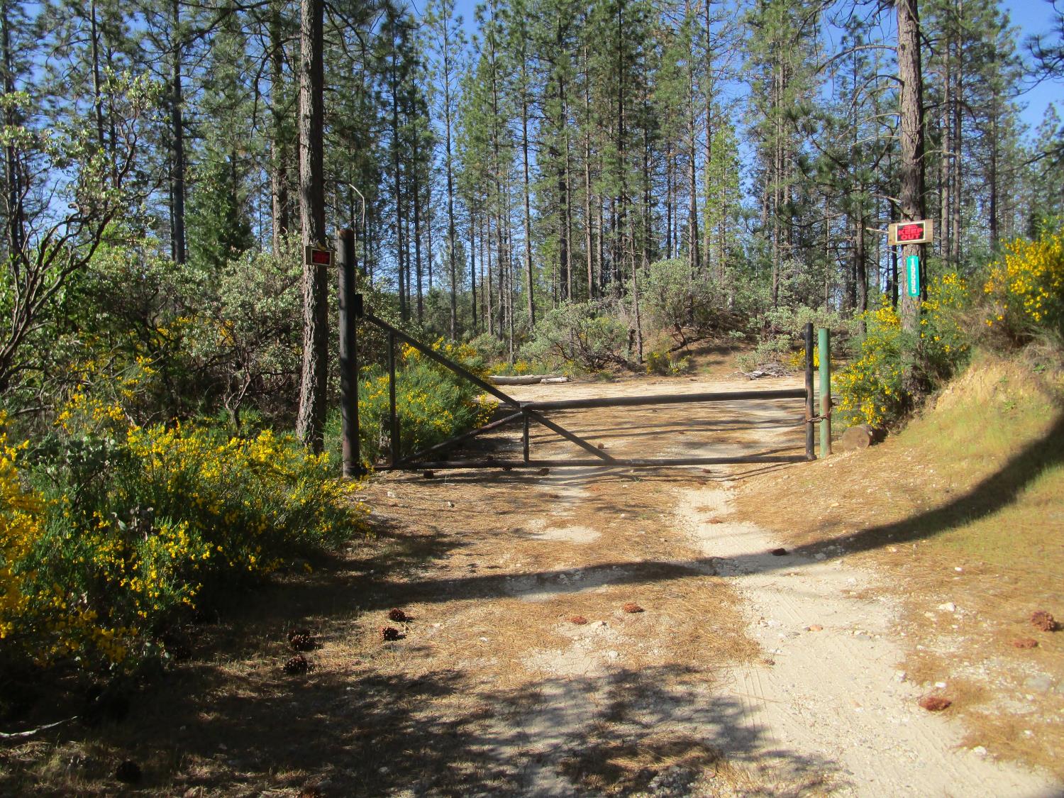 15699 Tyler Foote Road Nevada City, CA 95959 - Photo 7 of 23 a view of yard