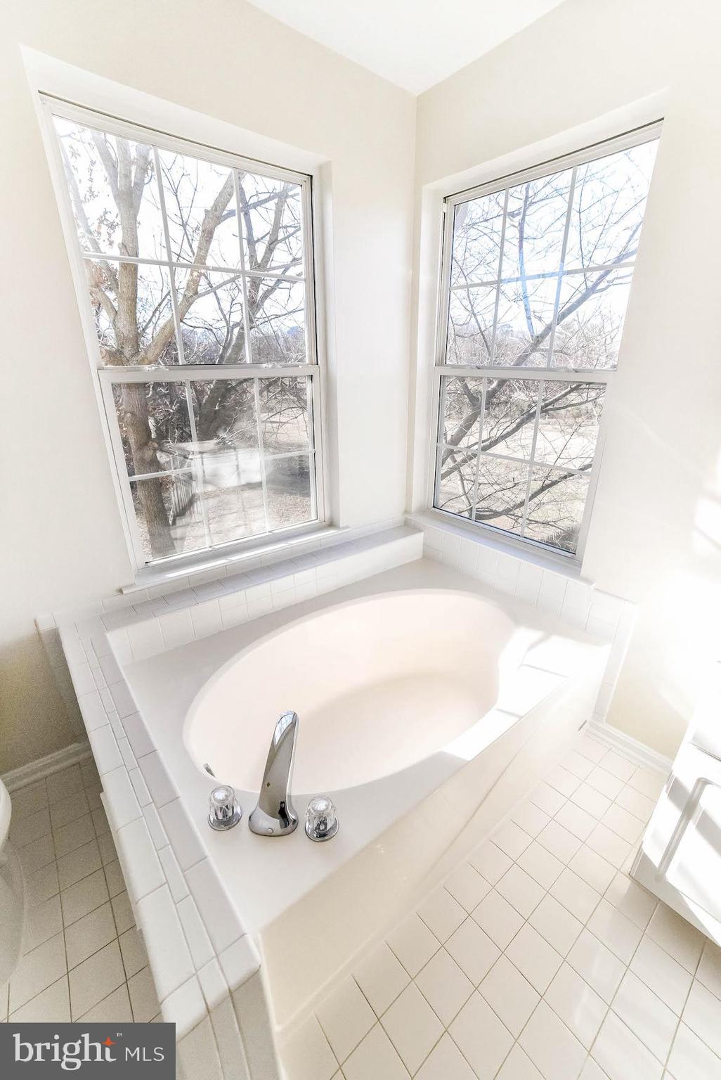 11211 Rawhide Road Lusby, MD 20657 - Photo 10 of 40 Relax in the soaking tub
