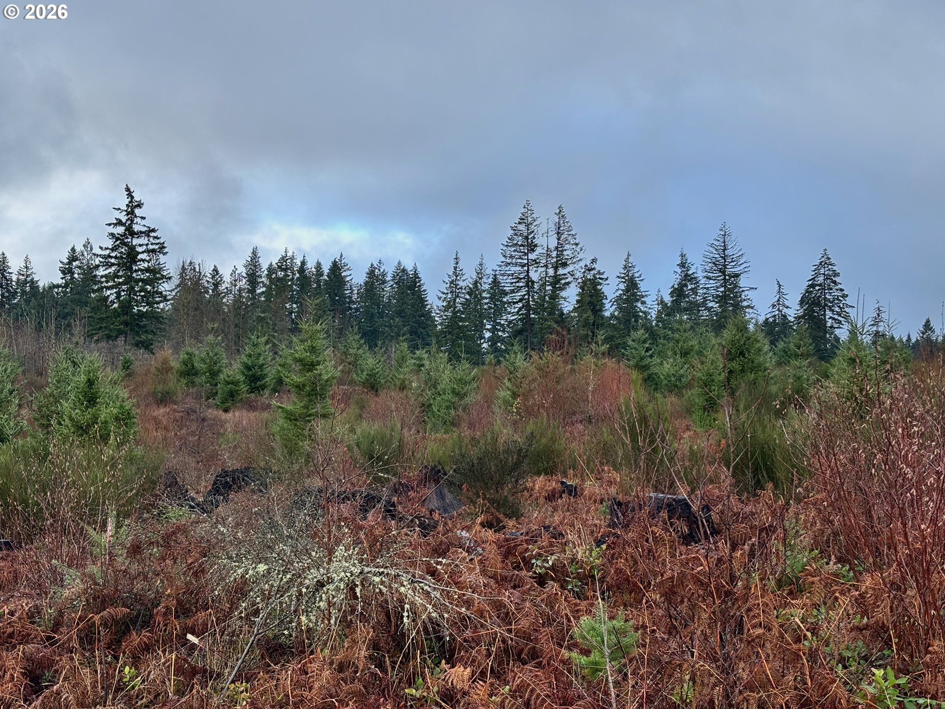 0 South Shibley Road Colton, OR 97017 - Photo 8 of 10 Gallery Image 8