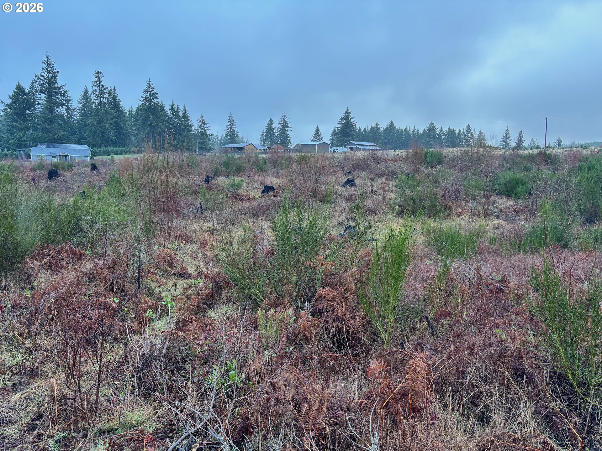 0 South Shibley Road Colton, OR 97017 - Photo 9 of 10 Gallery Image 9