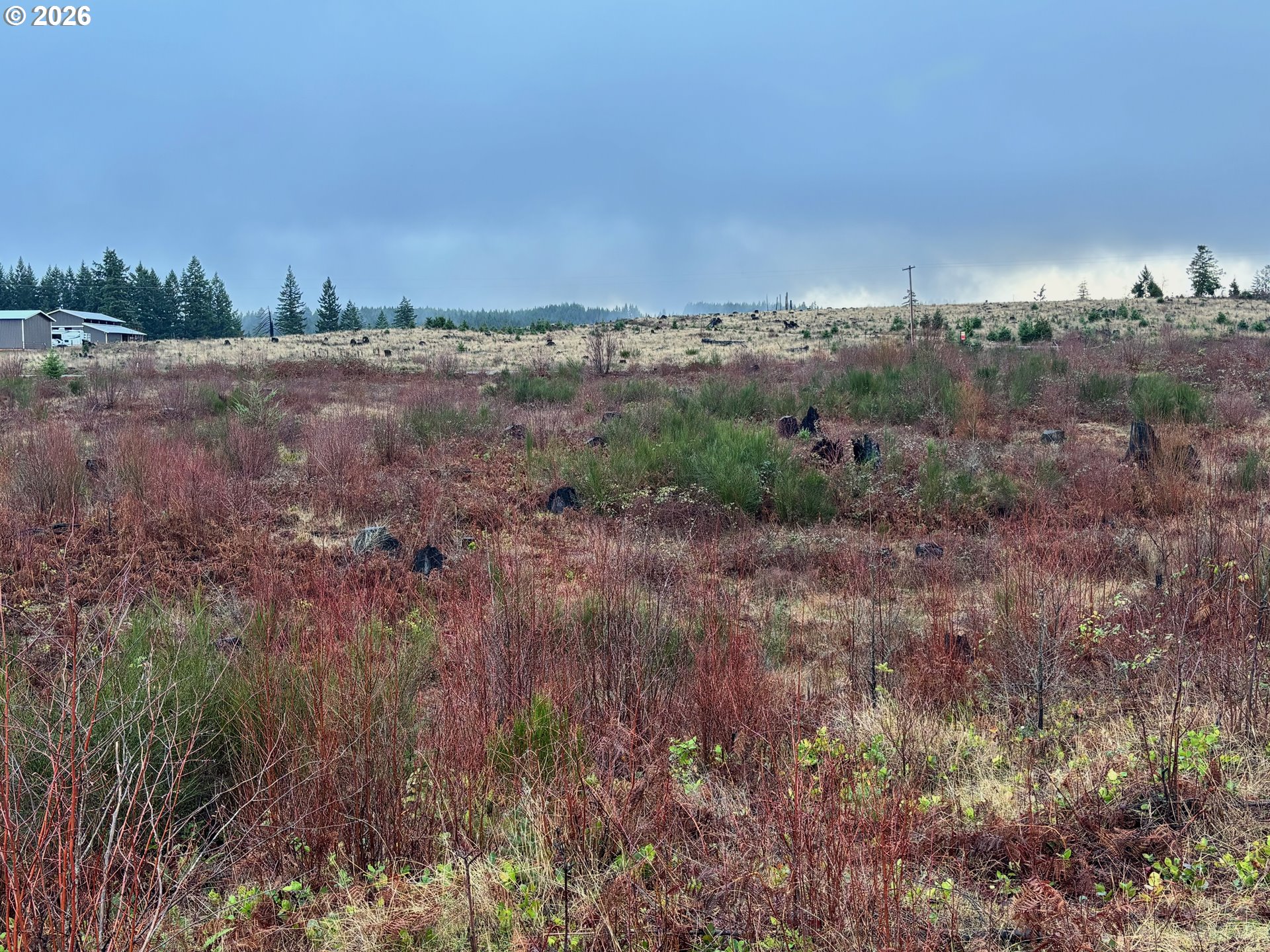0 South Shibley Road Colton, OR 97017 - Photo 10 of 10 Gallery Image 10