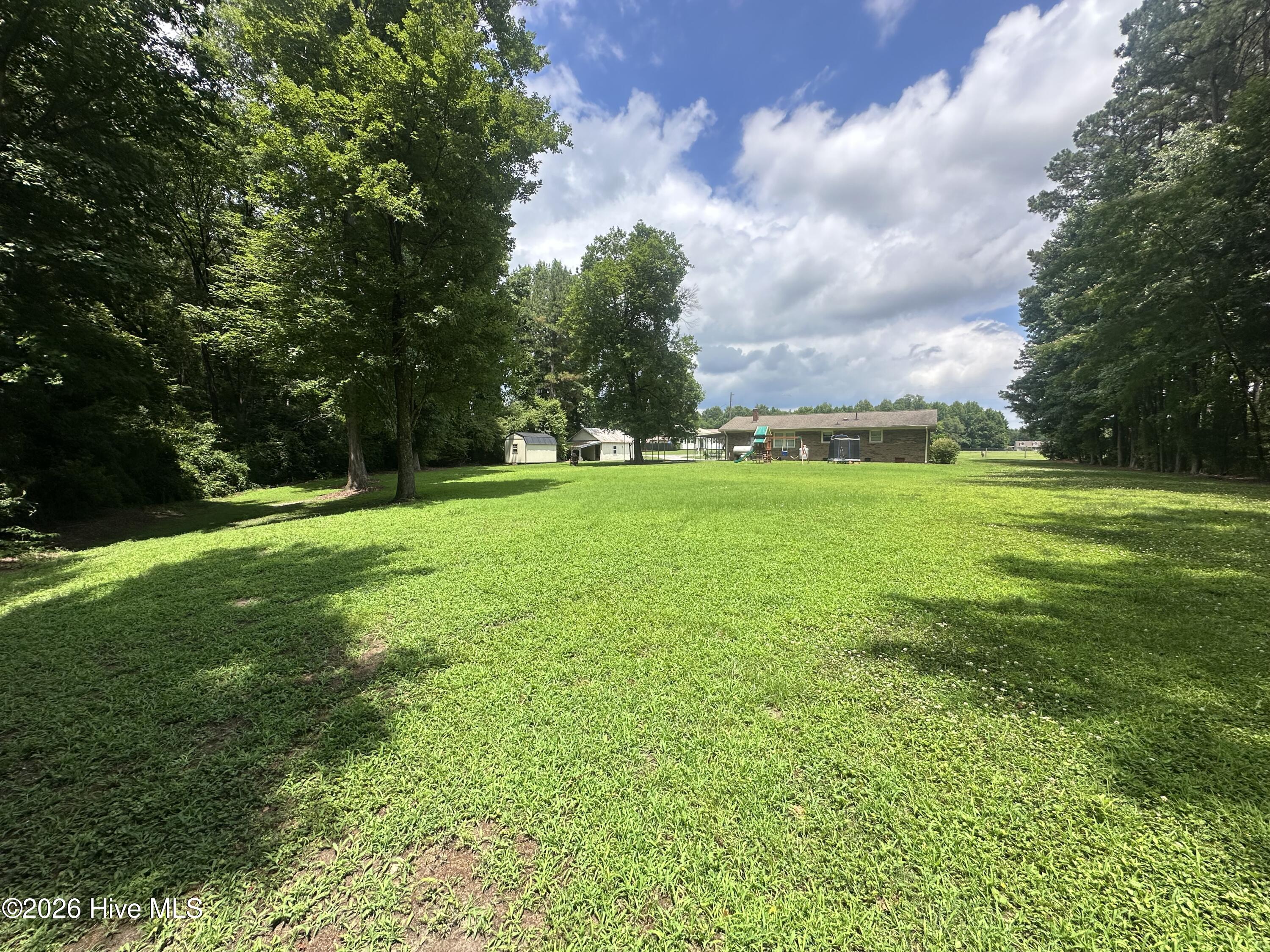 346 Doolittle Mill Road Conway, NC 27820 - Photo 9 of 39