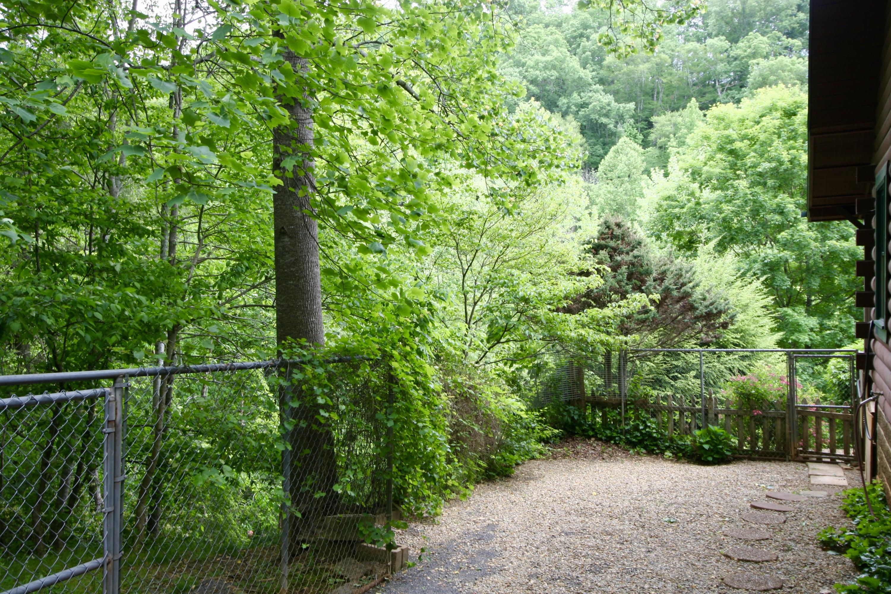 7221 Cooks Hollow Road Maryville, TN 37801 - Photo 8 of 40 fullsizeoutput_608