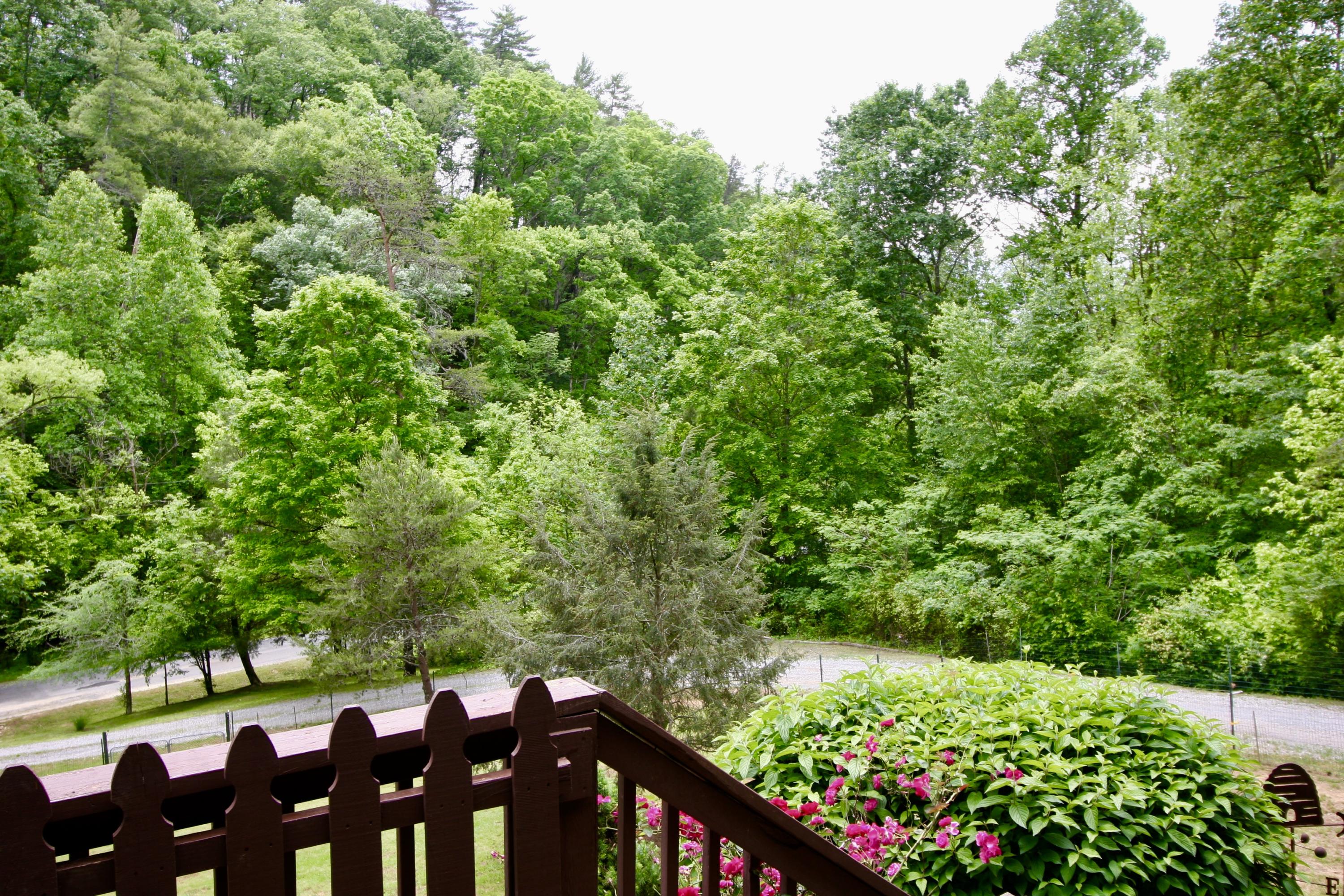 7221 Cooks Hollow Road Maryville, TN 37801 - Photo 9 of 40 fullsizeoutput_609