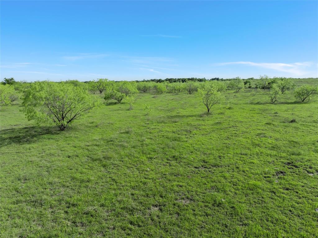 7 7 Mile Lane Riesel, TX 76682 - Photo 13 of 17 a view of a green field with lots of trees in it