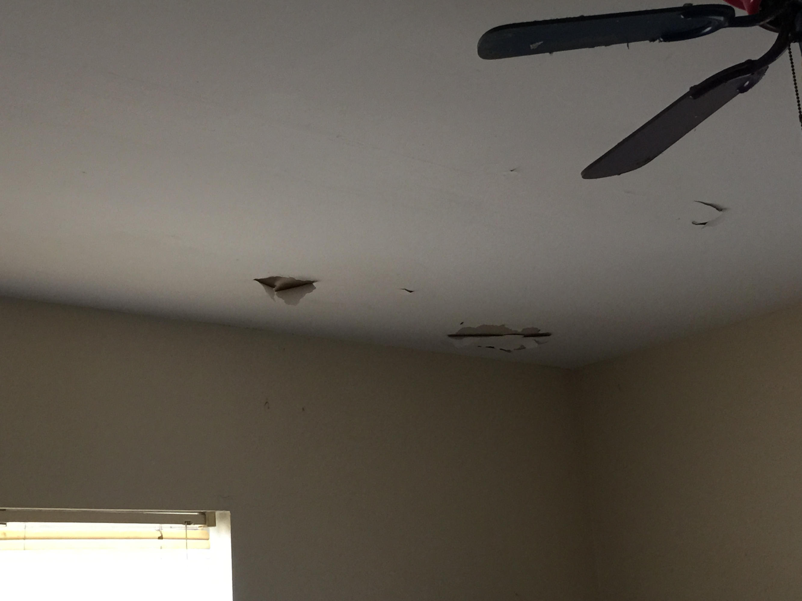 8665 Southeast Lyons Road Hobe Sound, FL 33455 - Photo 14 of 43 IMG_1370