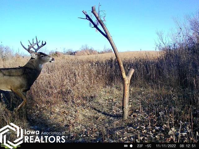 0 194th Avenue Decatur, IA 50067 - Photo 10 of 50 Gallery Image 10