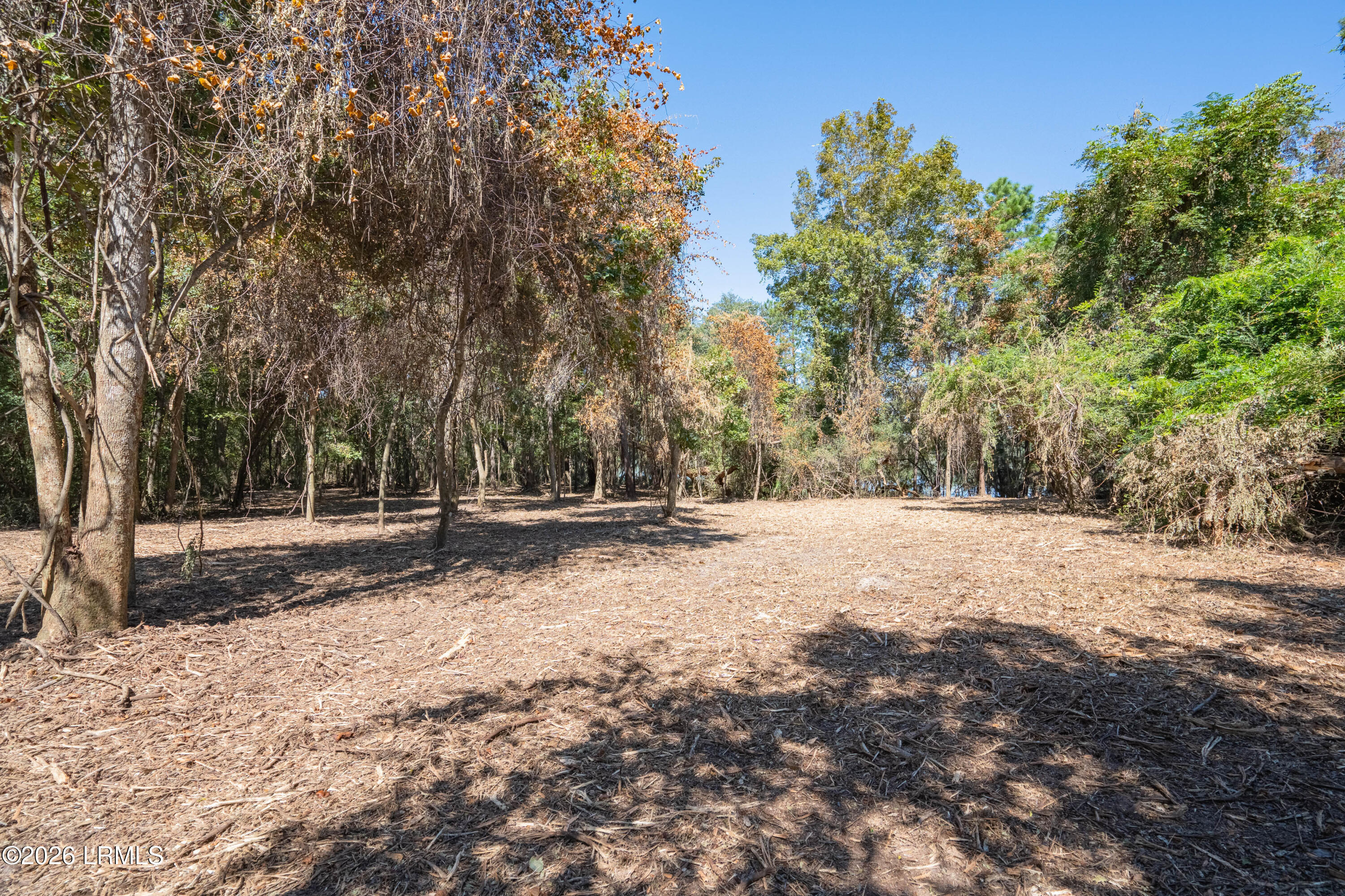 501 Paige Point Road Seabrook, SC 29940 - Photo 13 of 29 501 Paige Pt-41