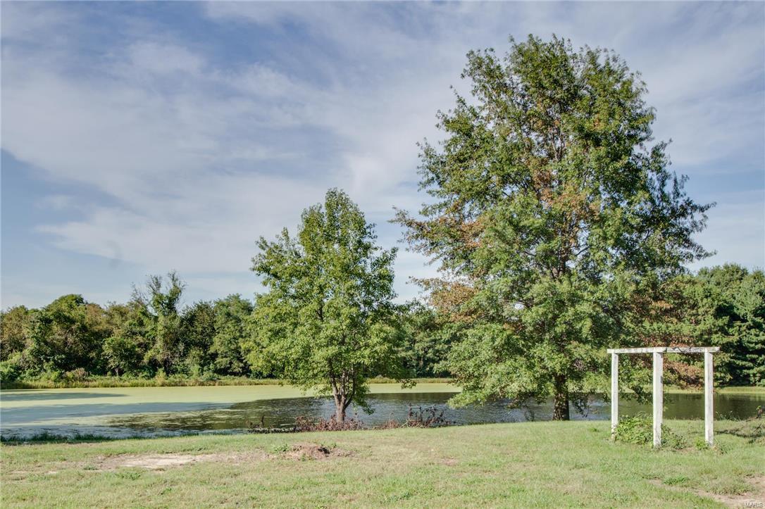4429 Seiler Road Dorsey, IL 62021 - Photo 38 of 40