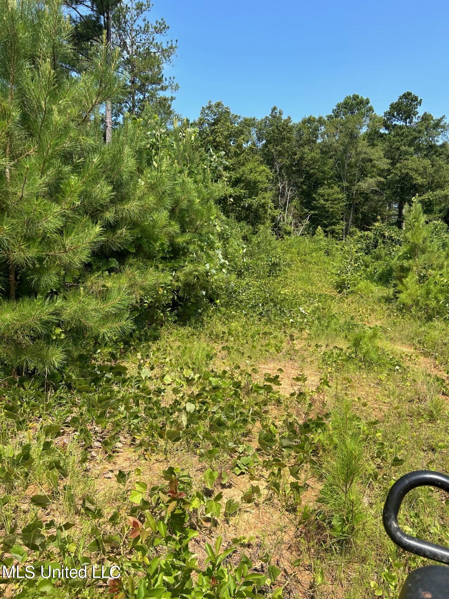 Chapel Hill Rd Road Decatur, MS 39327 - Photo 3 of 14 80 newton pic 5