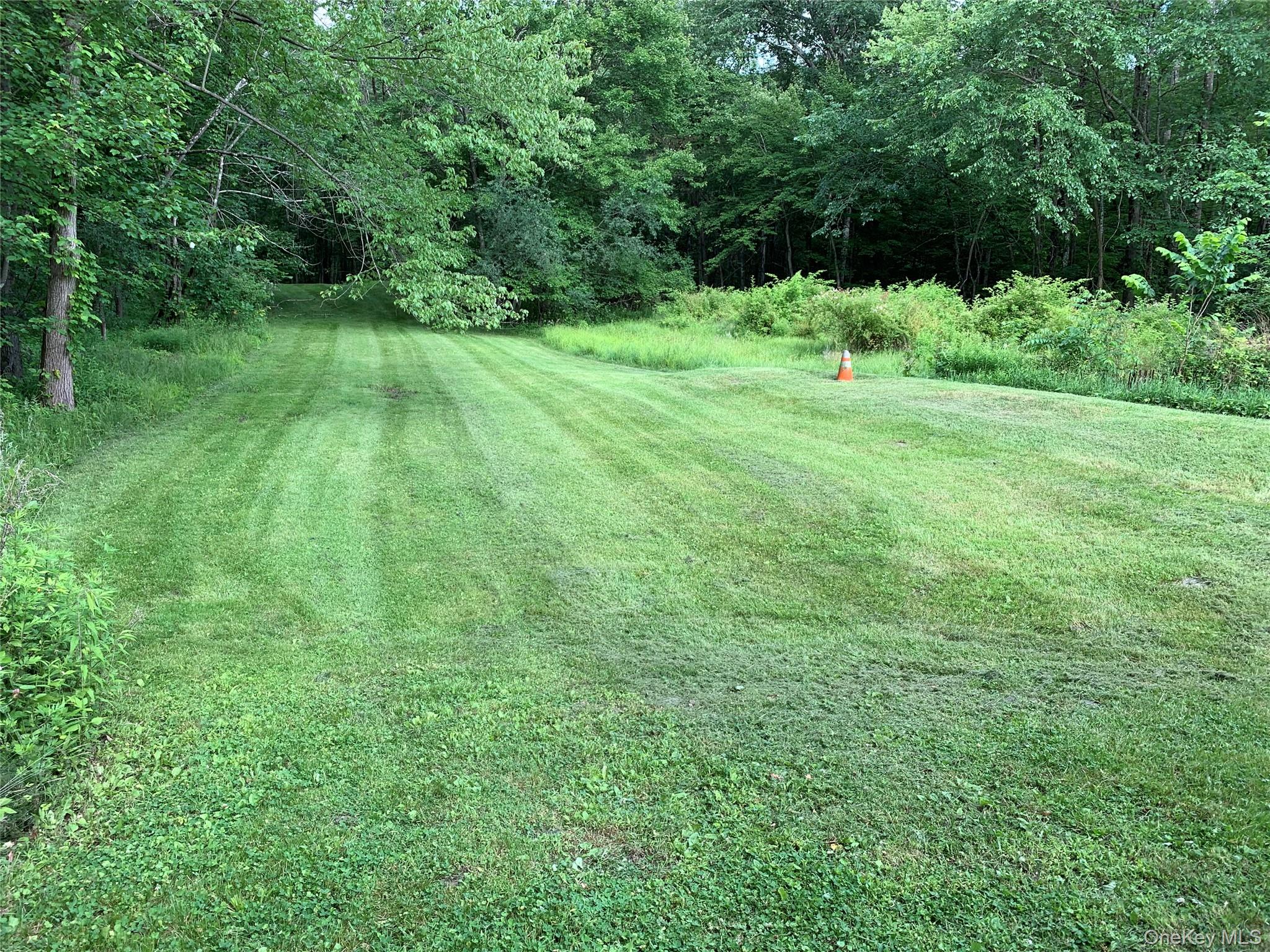 20 Barron Road Montgomery, NY 12549 - Photo 22 of 30 a big yard with lots of green space and deers