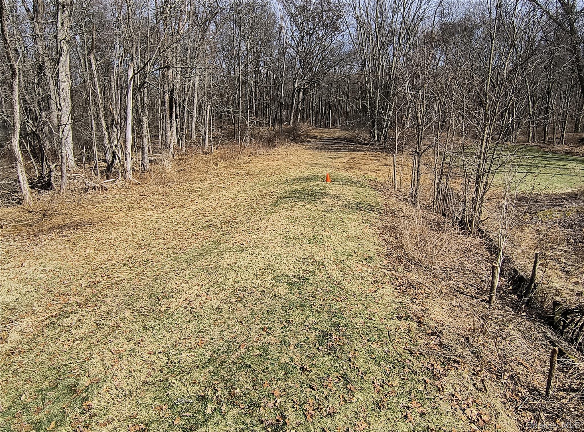 20 Barron Road Montgomery, NY 12549 - Photo 23 of 30 a view of yard with trees