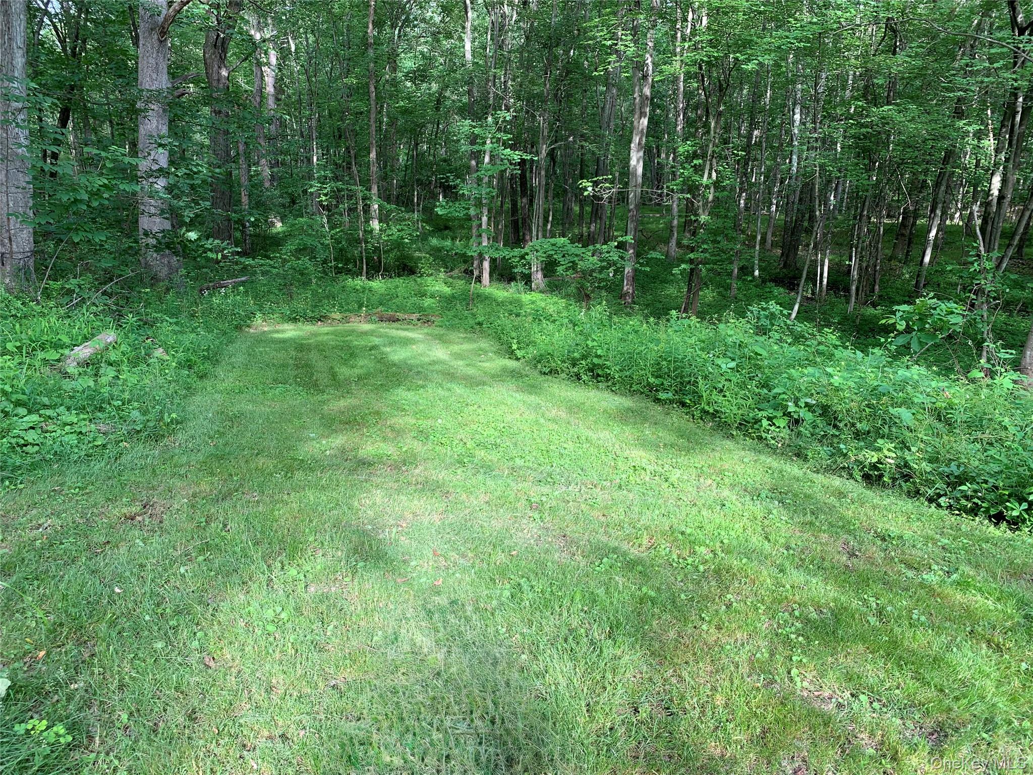 20 Barron Road Montgomery, NY 12549 - Photo 24 of 30 a view of outdoor space and yard