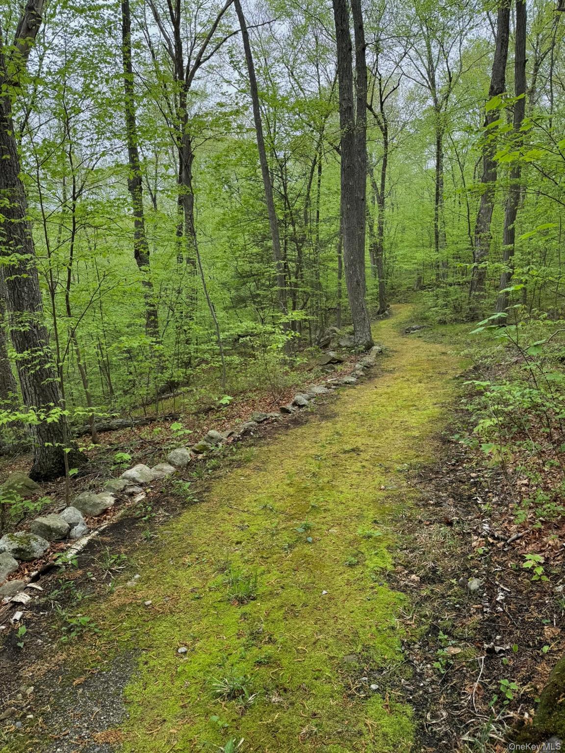180 Dean Road Carmel, NY 10512 - Photo 47 of 50 Over 2 miles of historic 80 year old heritage hiking trails lace the property