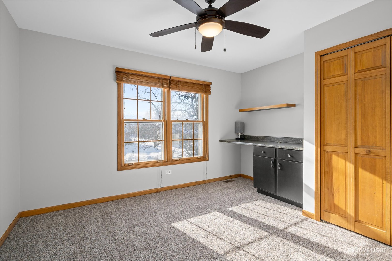 1135 Conan Doyle Road Naperville, IL 60564 - Photo 24 of 47 a view of an empty room with a window