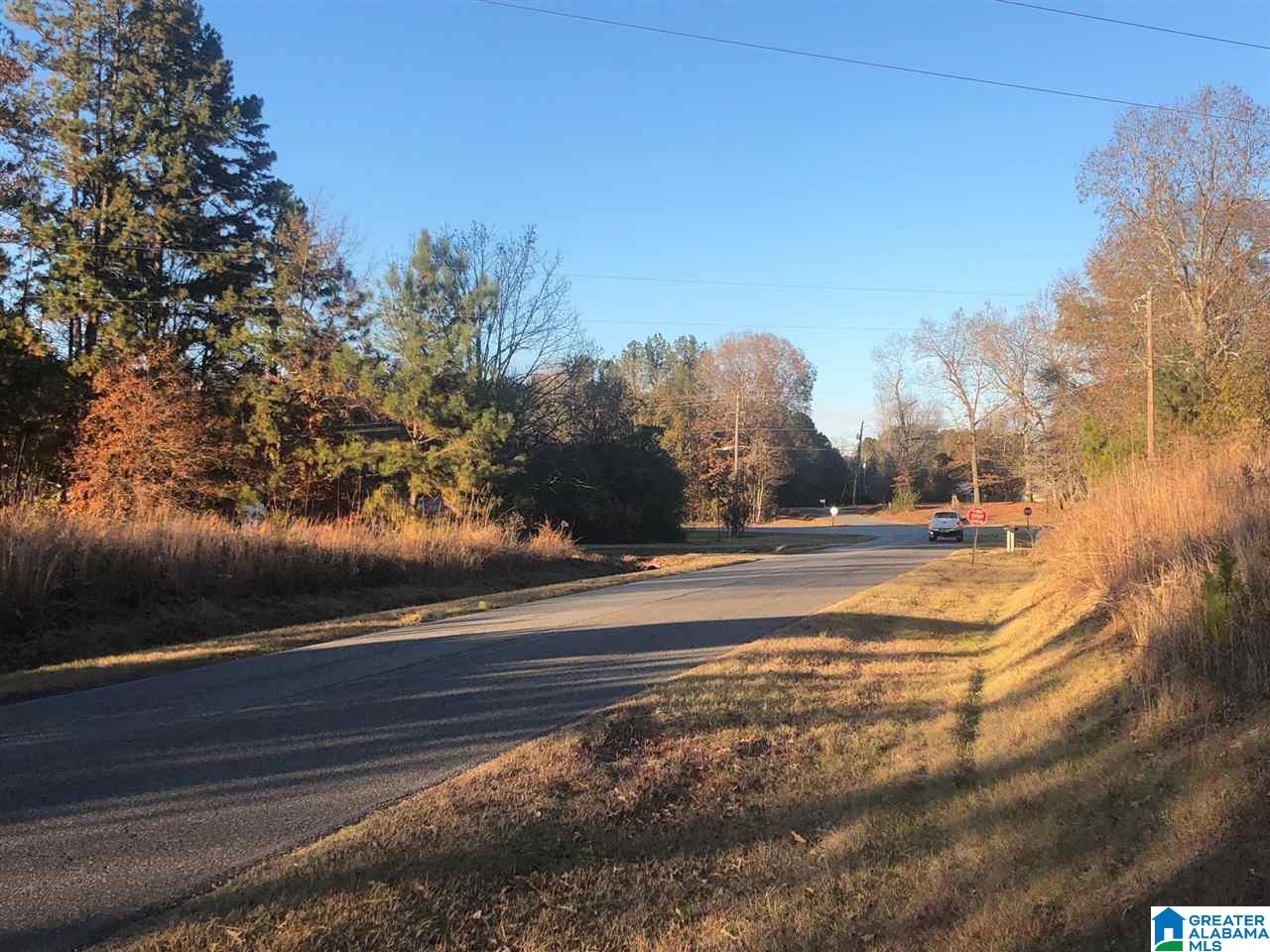 872 Golf Course Road Pell City, AL 35128 - Photo 17 of 17