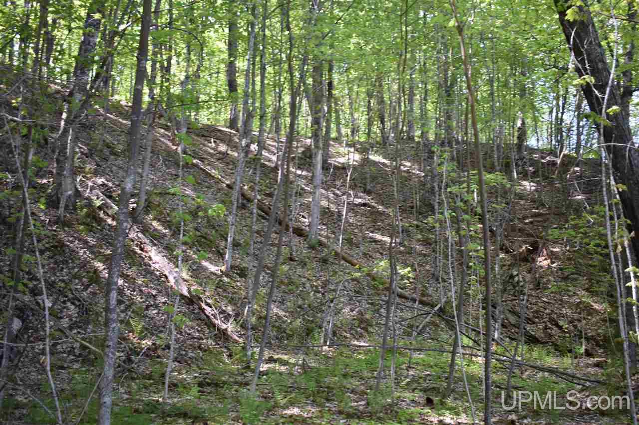 24-acres Co Rd Kb Big Bay, MI 49808 - Photo 47 of 50