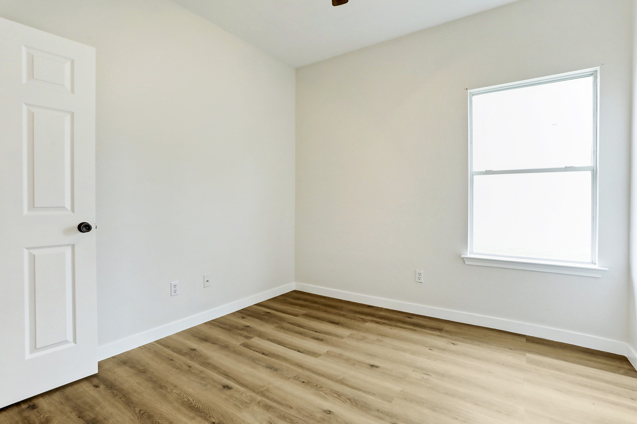 128 Almquist Street Hutto, TX 78634 - Photo 20 of 32