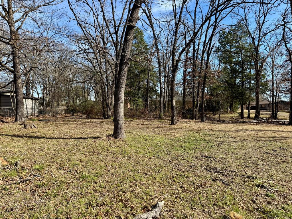 1353 Shady Lane Canton, TX 75103 - Photo 2 of 4 a view of outdoor space with trees