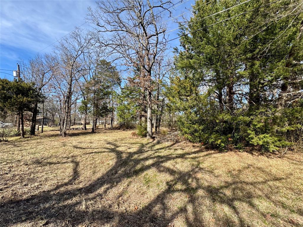 1353 Shady Lane Canton, TX 75103 - Photo 4 of 4 a view of a yard with a tree
