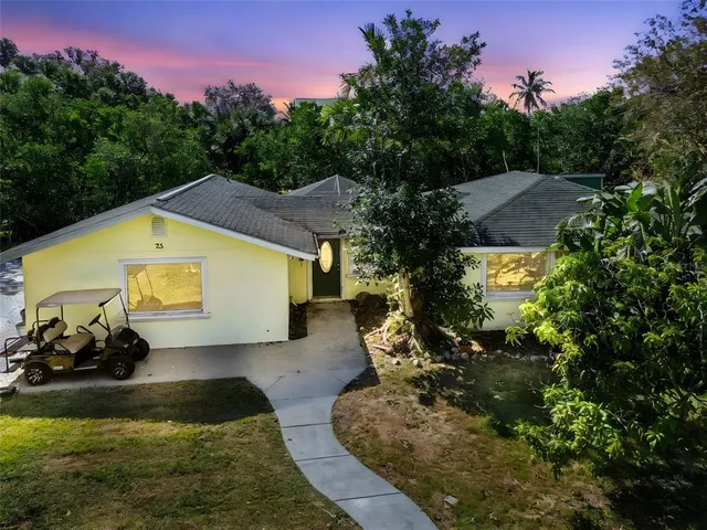 a view of back yard of the house
