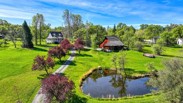a view of a garden