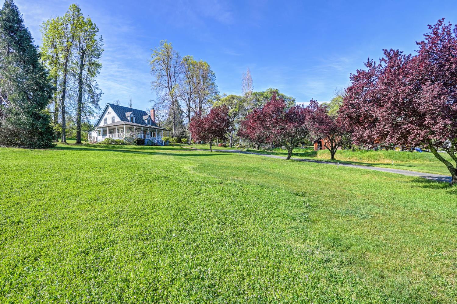 10800 Pickle Barrel Road Auburn, CA 95602 - Photo 44 of 82 a front view of a house with a yard and trees