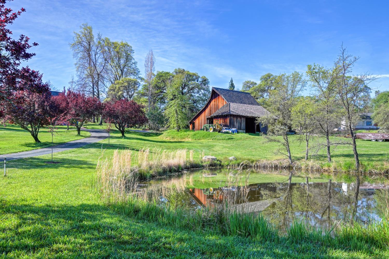 10800 Pickle Barrel Road Auburn, CA 95602 - Photo 49 of 82 a backyard of a house with lots of green space and fountain